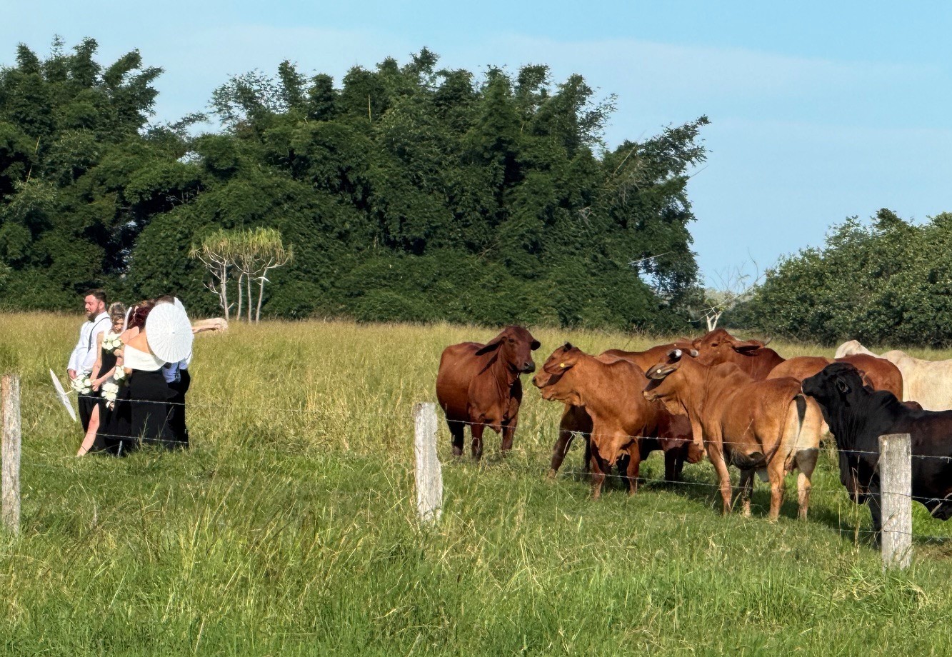 Eden & Johnny - Even The Cows Wanted In On The Action :)